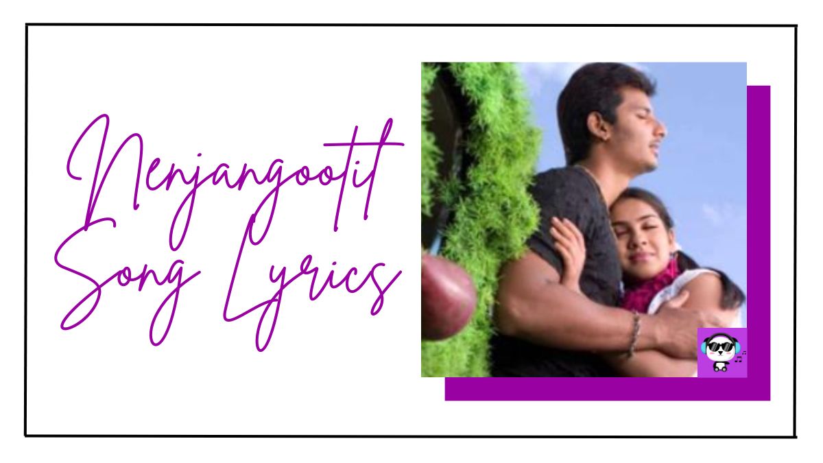 Nenjangootil Song Lyrics