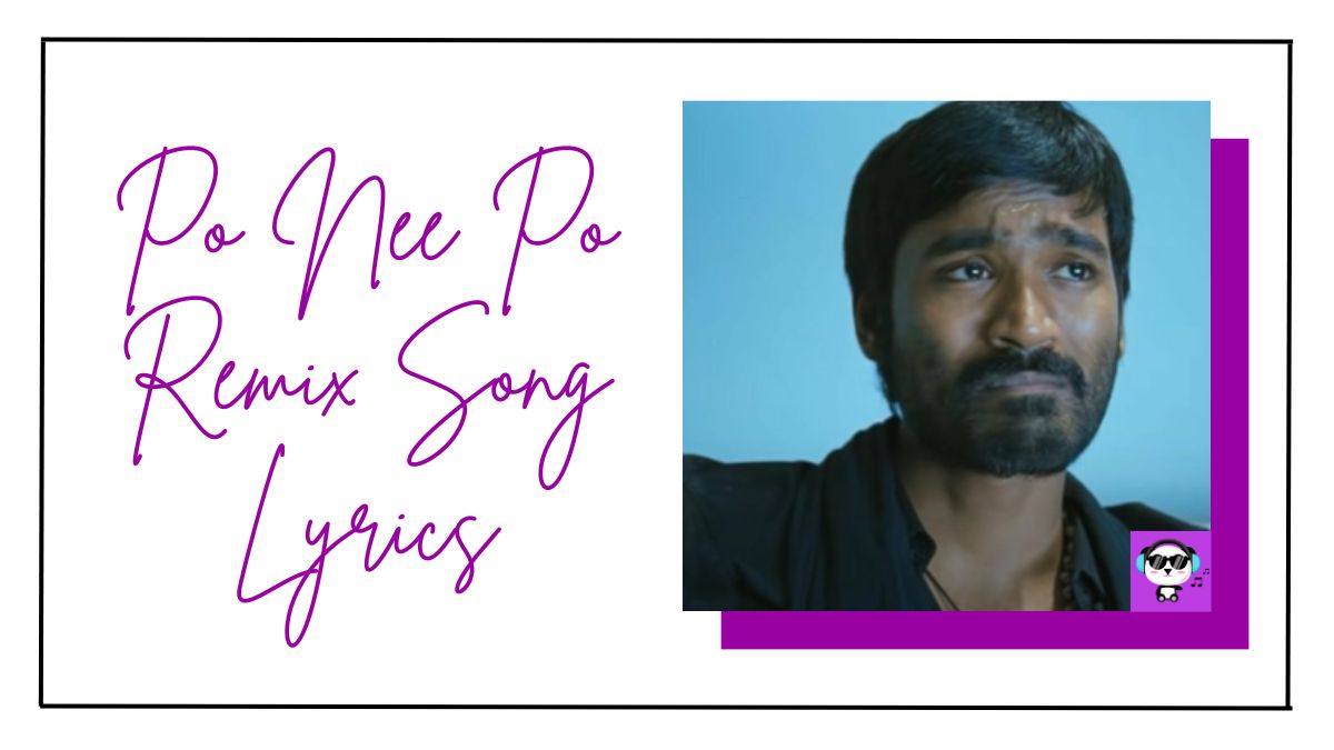 Po Nee Po Remix Song Lyrics