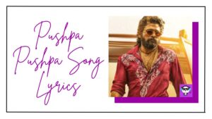 Pushpa Pushpa Song Lyrics